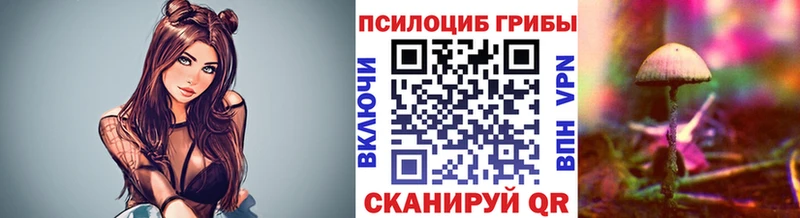 ссылка на мегу ССЫЛКА  что такое наркотик  Губаха  Галлюциногенные грибы MAGIC MUSHROOMS 